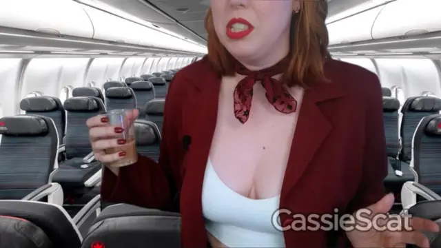 Flight Attendent Desperately Poops on Plane